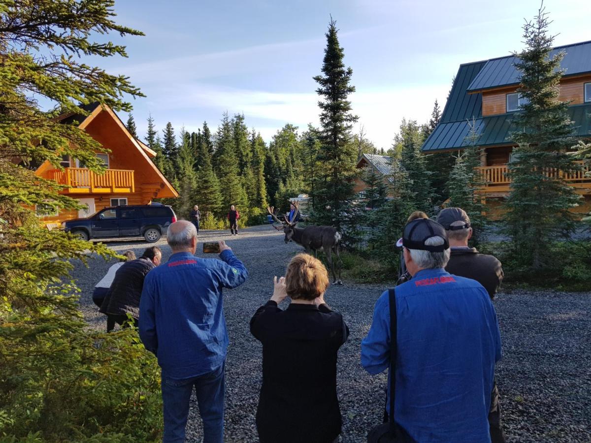 Salmon Catcher Lodge Кенай Екстериор снимка